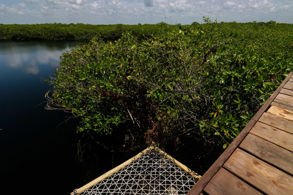 Cormoran Hotel Boutique & Cenote 36/48
