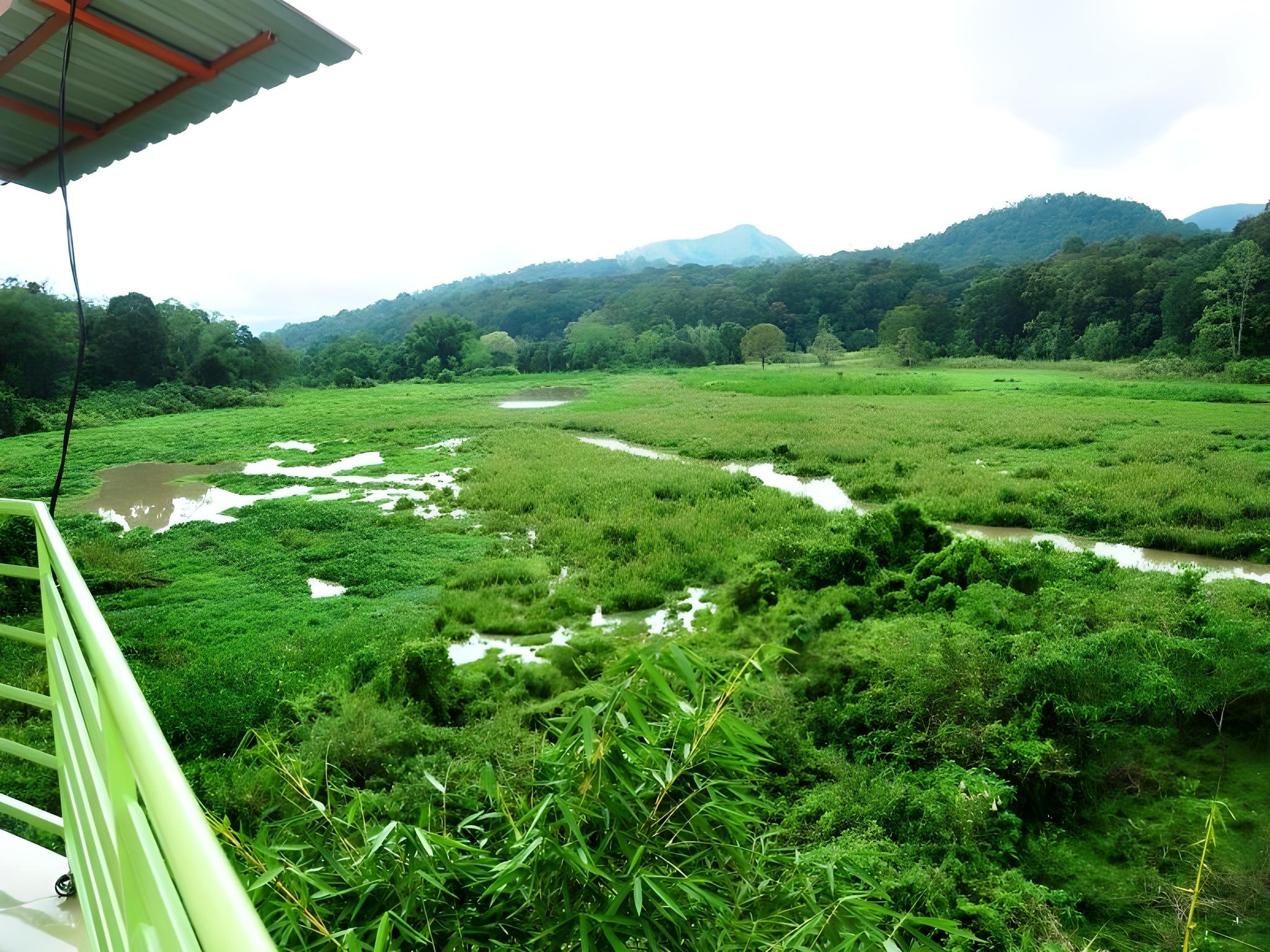 Kerala House 21/25