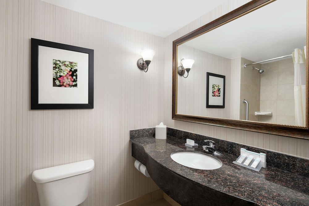 Hilton Garden Inn Denver Highlands Ranch 17/52