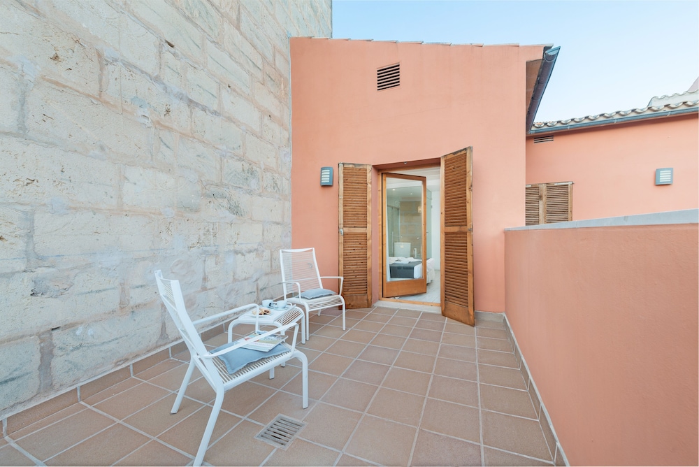 Alcudia Petit 49/50