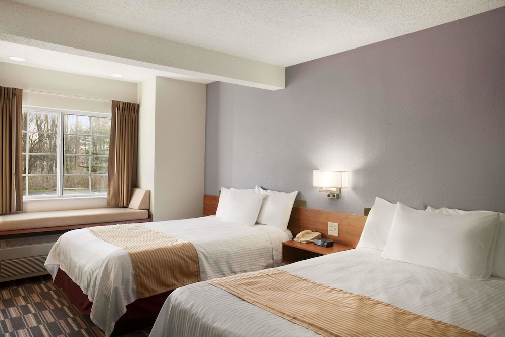 Microtel Inn Suites By Wyndham Albany Airport 11/49