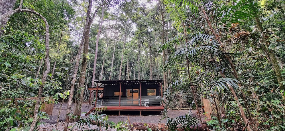 The Canopy Treehouses 3/25