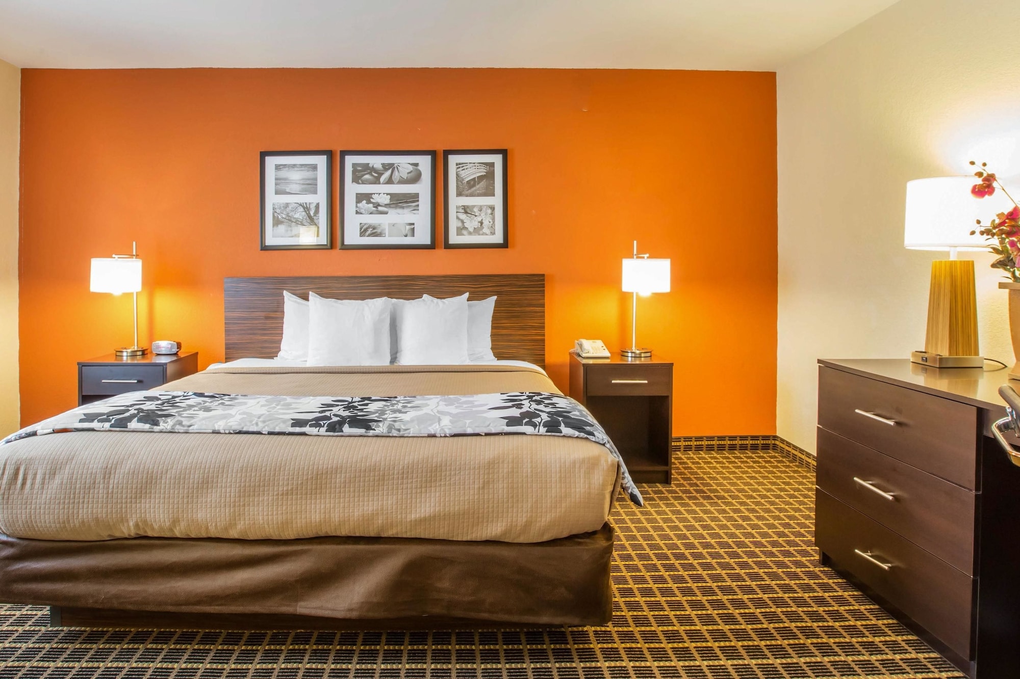 جناح بسرير كينج مع أريكة، Sleep Inn & Suites Valdosta Mall Area 3/6