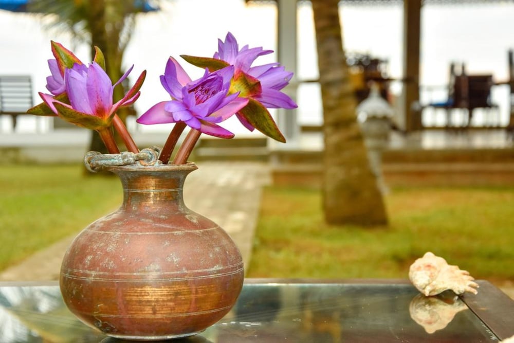 オリエンタル レスト ヒッカドゥワ(Oriental Rest Hikkaduwa) 写真3