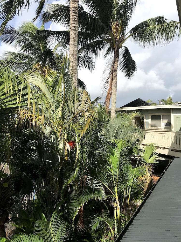 Kauai Palms Hotel 48/51