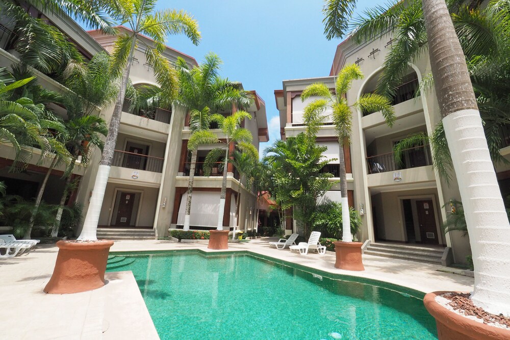 Macaws Ocean Club 40/50