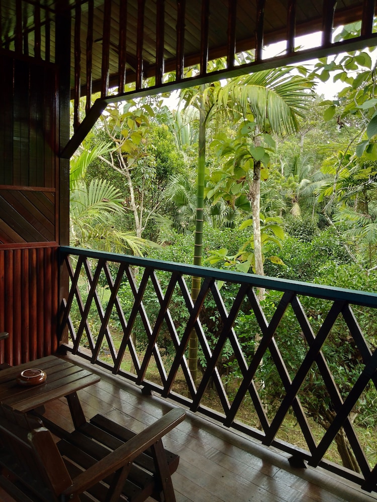Sepilok Jungle Resort 12/62