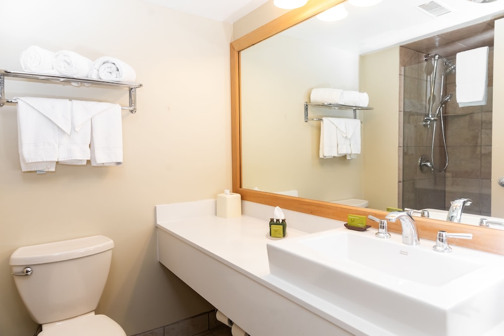Hidden Valley Resort, Ascend Hotel Collection 15/56
