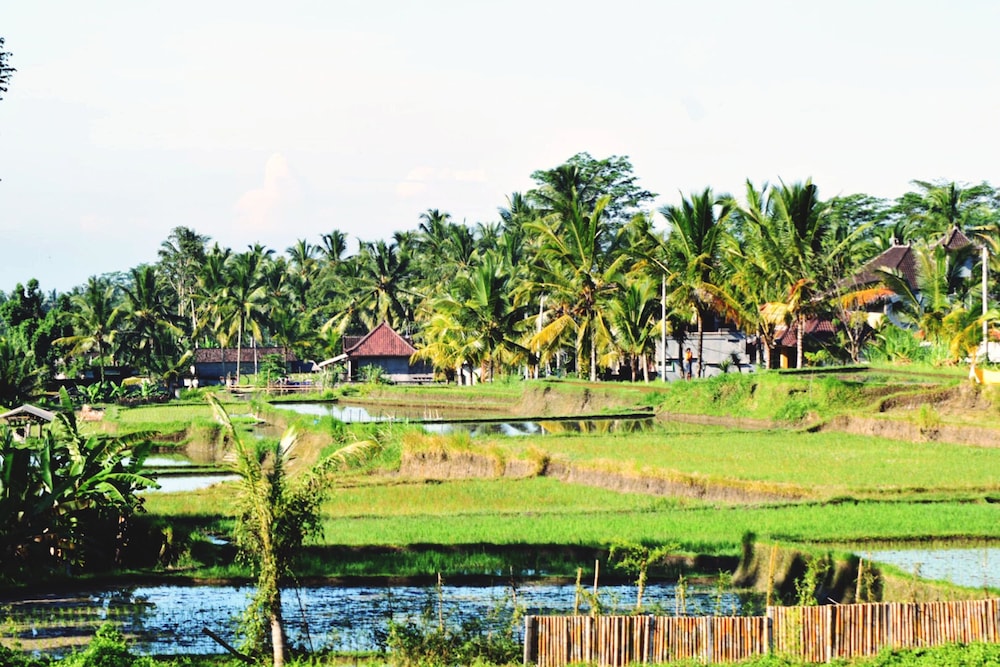 Ubud Sawah Homestay 38/50