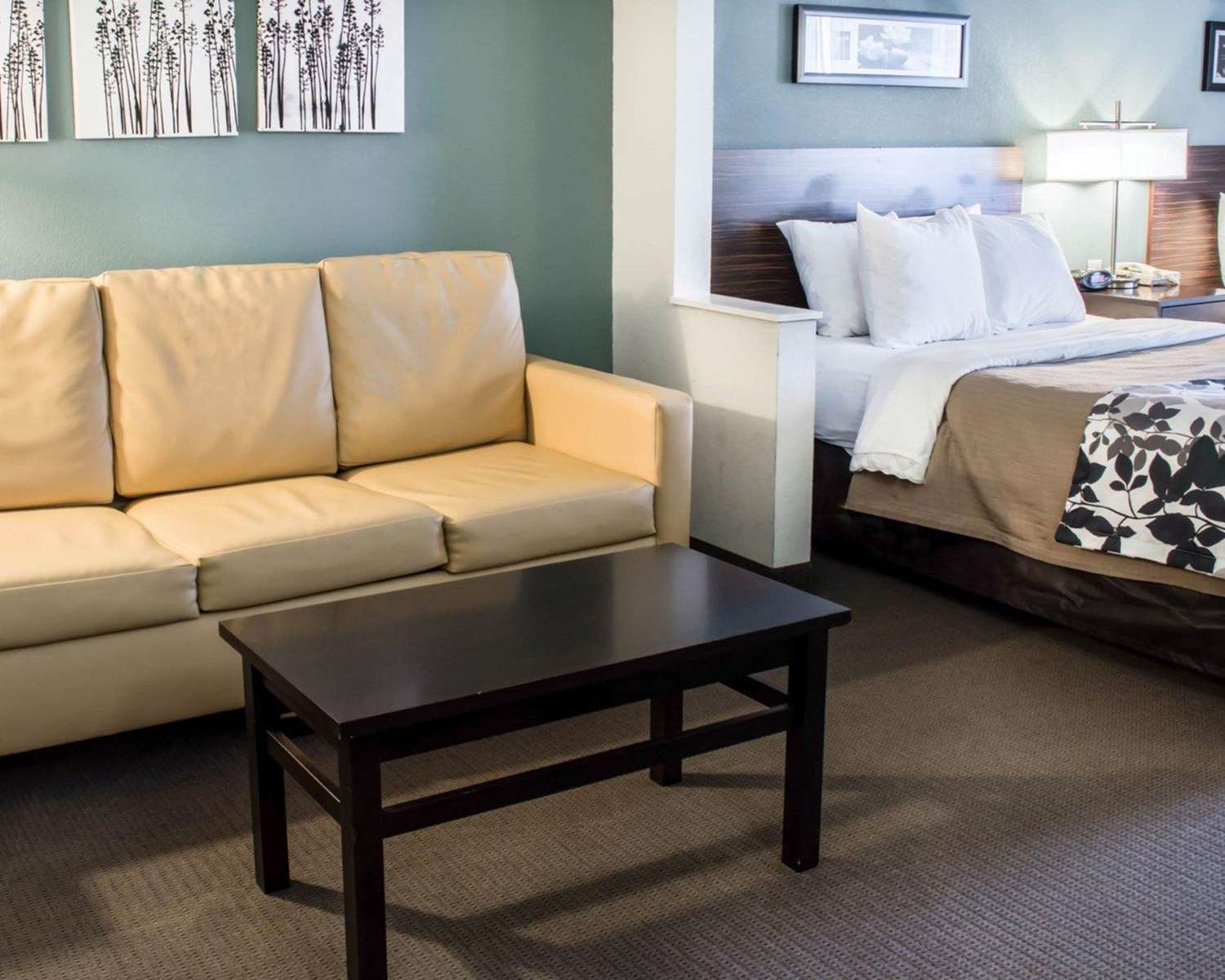 Sleep Inn & Suites Monticello 17/20