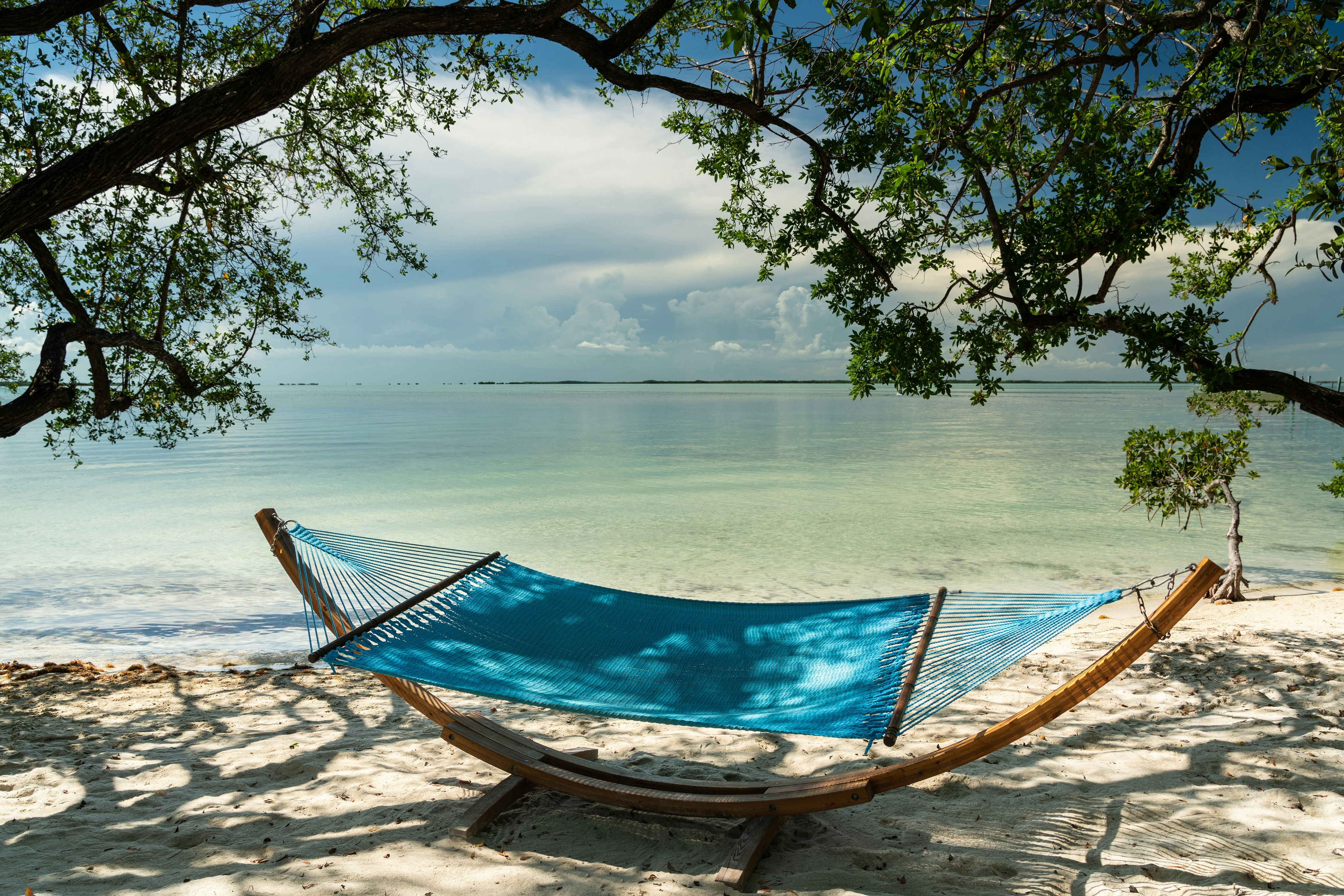 Baker's Cay Resort Key Largo, Curio Collection by Hilton 41/42