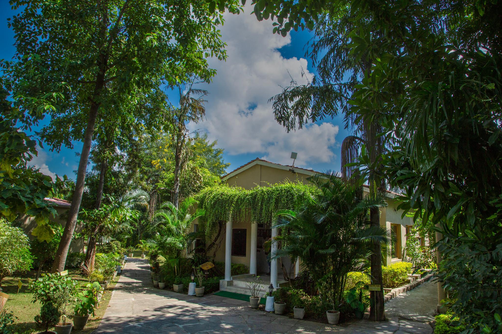 TIGER DEN RESORT 5/25