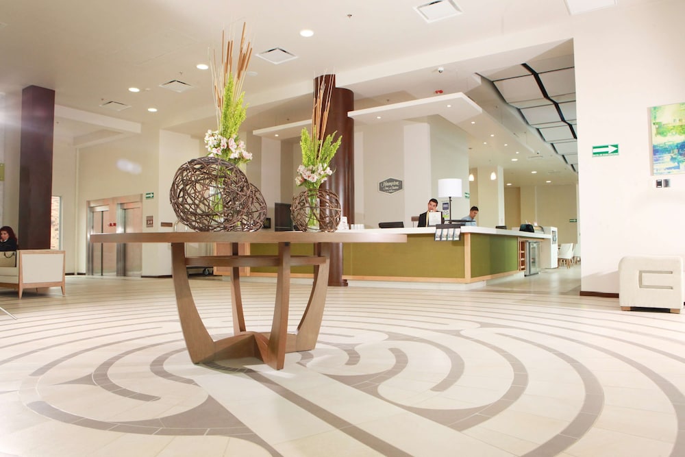 Hampton Inn Suites By Hilton Aguascalientes Airport 12/58