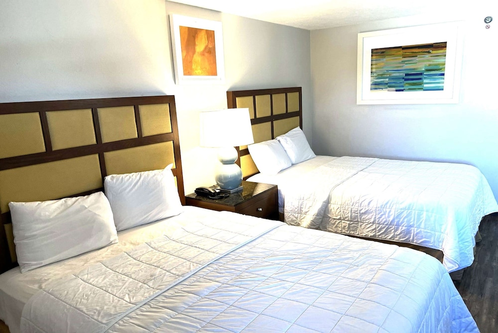 Baymont Inn And Suites By Wyndham Columbus / Near Osu 16/60