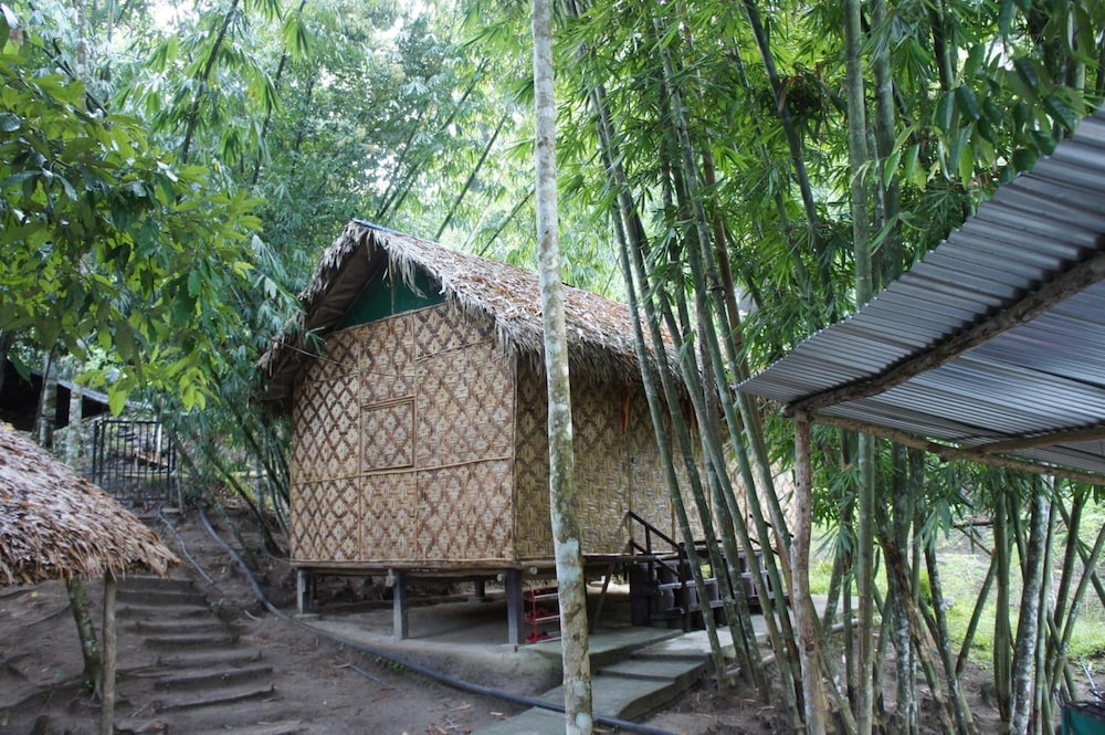 Rain Forest Inn 64/66
