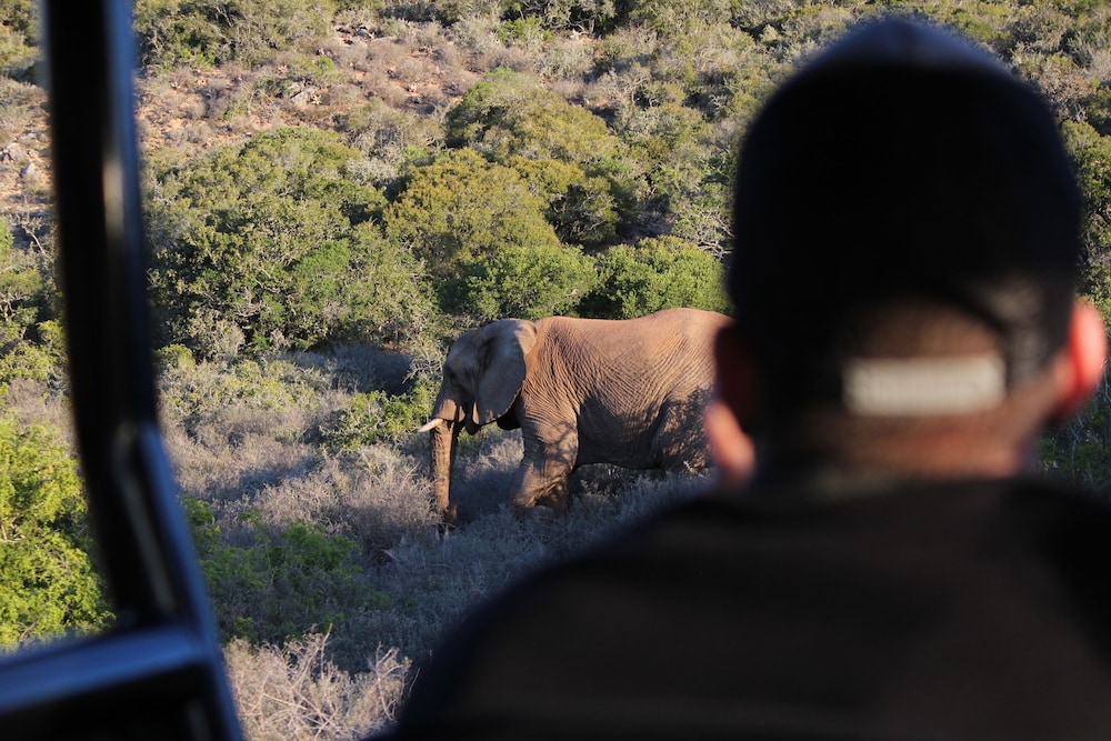 Bukela Game Lodge 27/59
