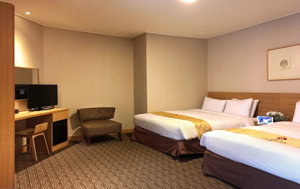 Hotel Skypark Central Myeongdong 18/44