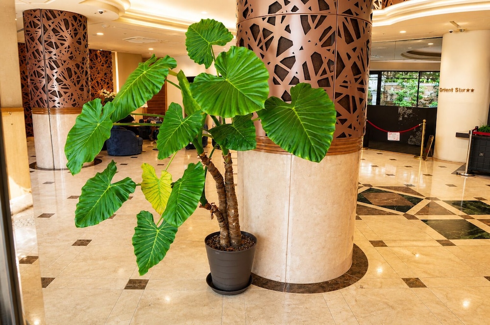 KANKU JOYTEL HOTEL 11/55