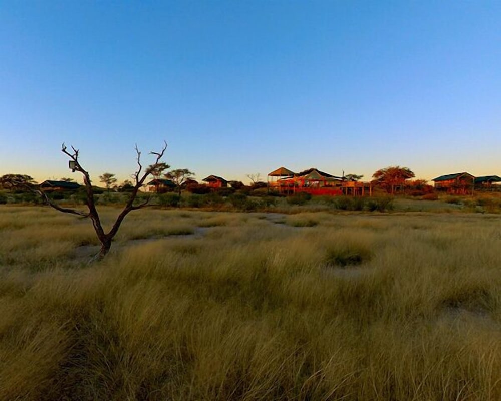 Suricate Tented Kalahari Lodge 15/22