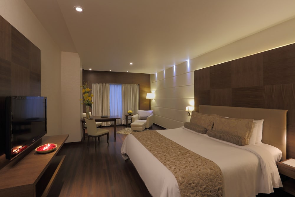 Goldfinch Hotel Bangalore 19/66