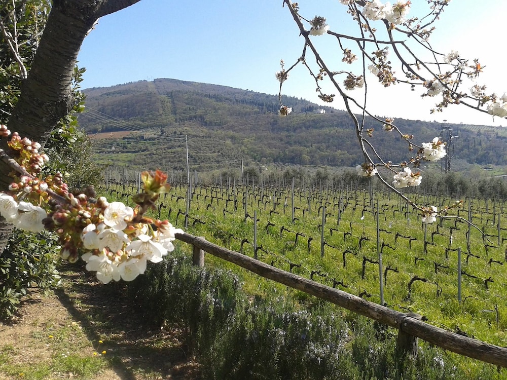 Fattoria Di Poggiopiano 38/50
