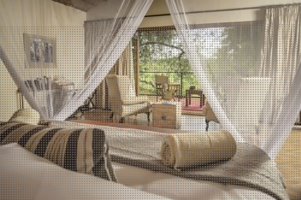 Becks Safari Lodge 30/77