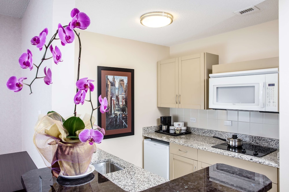 Campus Tower Suite Hotel 39/67