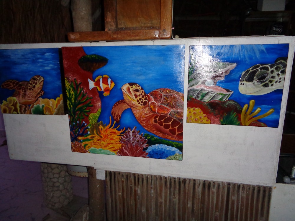 Sea Turtle House 2/50