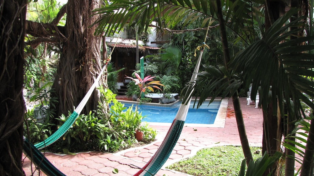 Eco Hotel El Rey del Caribe 28/50
