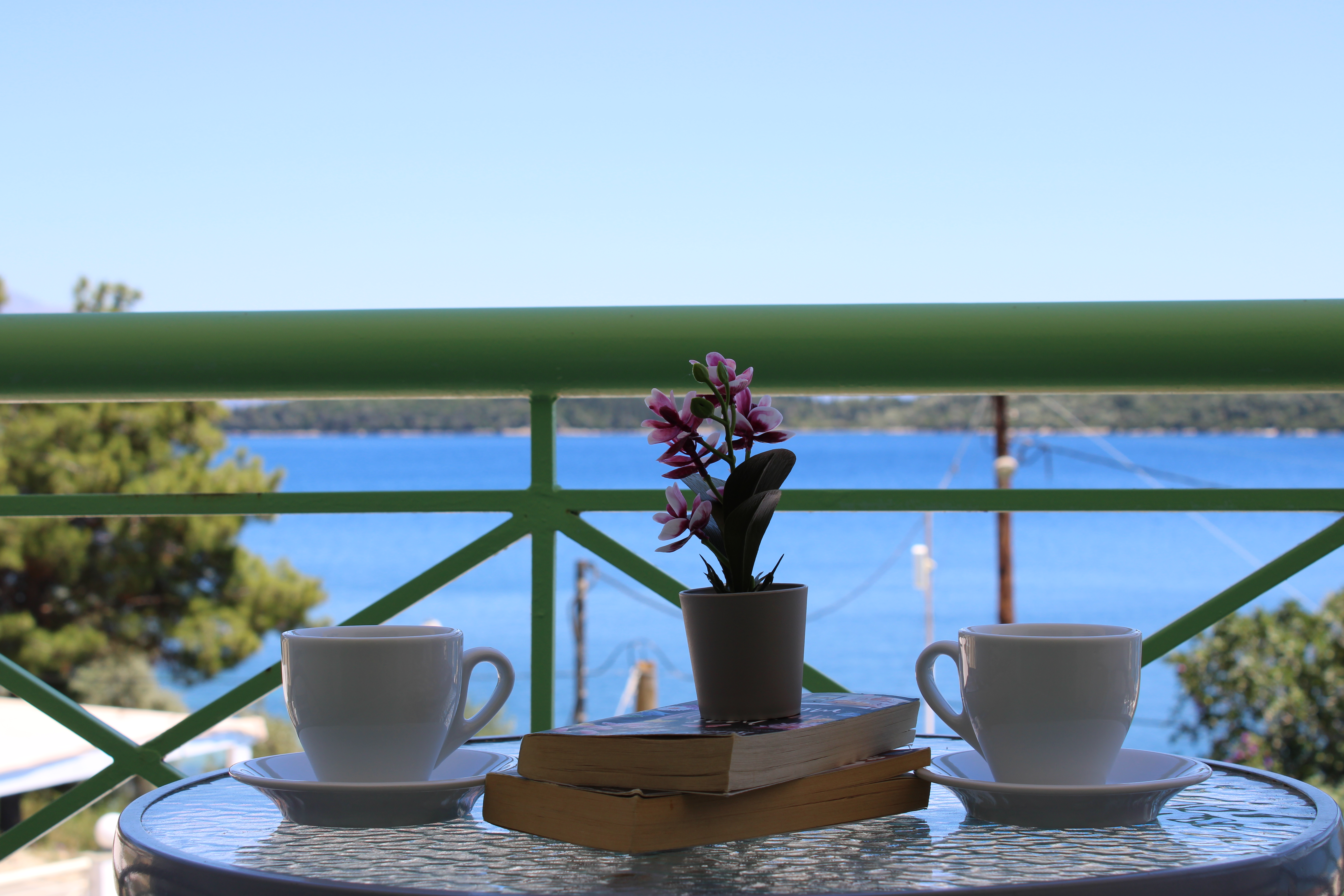 Tropicana Inn 15/50