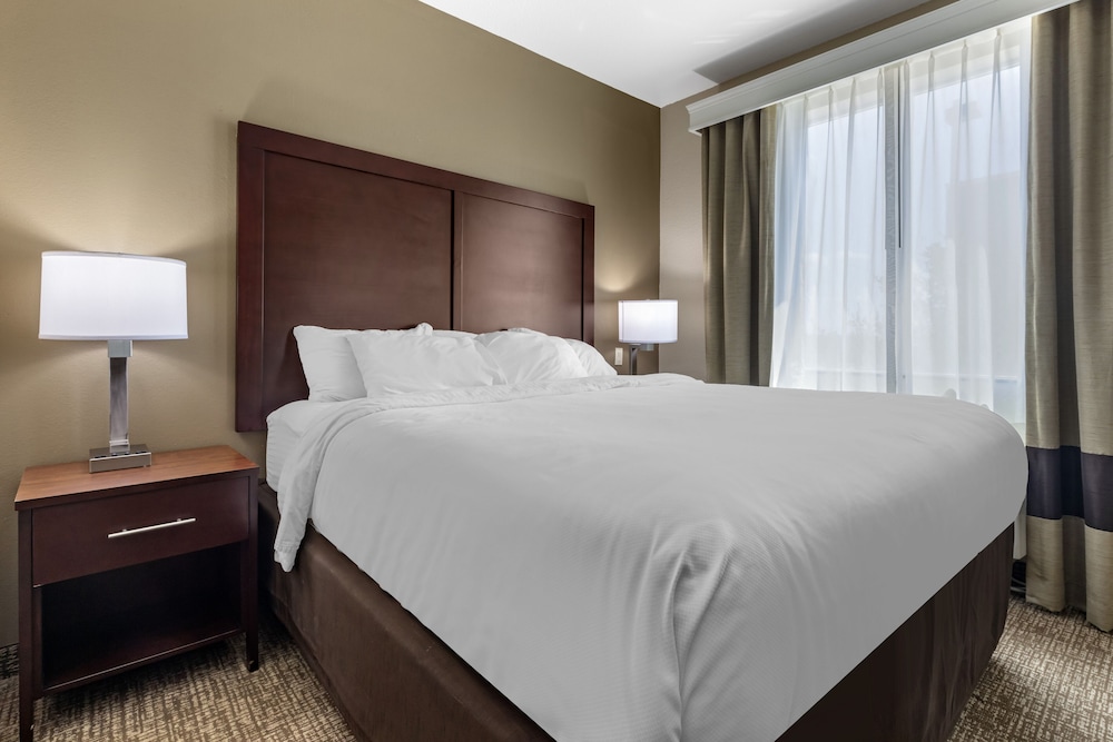 Comfort Inn Suites Near Lake Lewisville 13/43