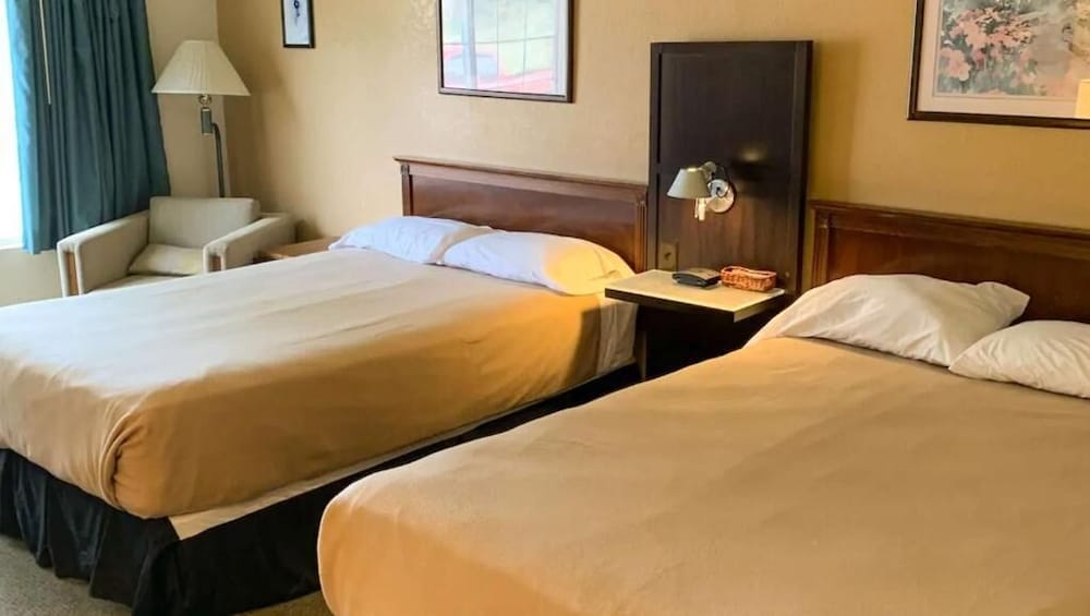 Surrey Inn Hotel 16/61