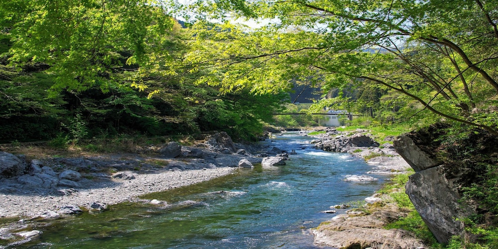 Kamenoi Hotel Ome (ex. Kanpo No Yado Oume) 44/48