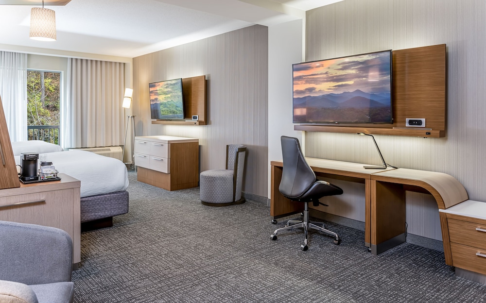 Courtyard by Marriott Asheville Biltmore Village 44/57