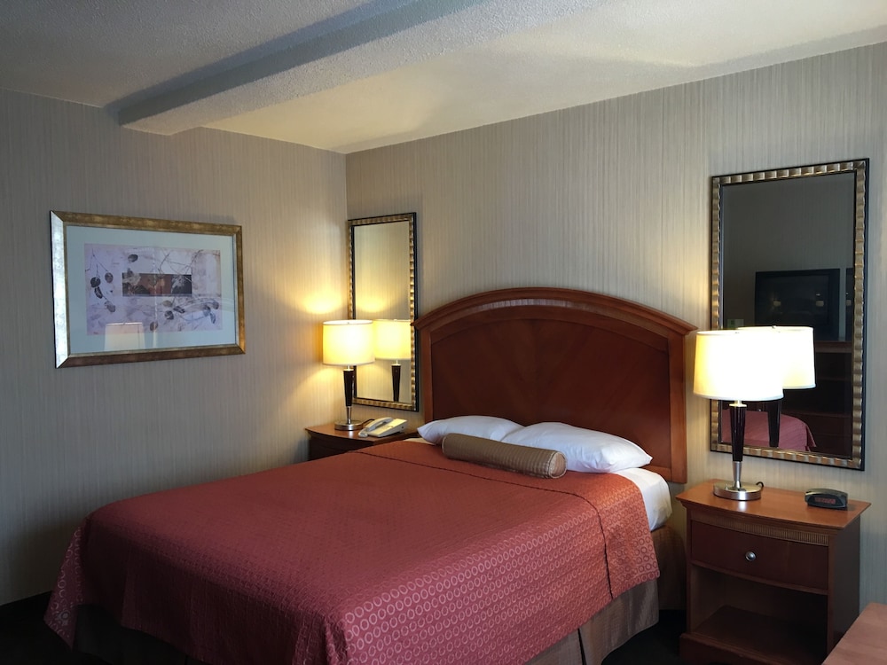 Royal Pacific Motor Inn 13/59