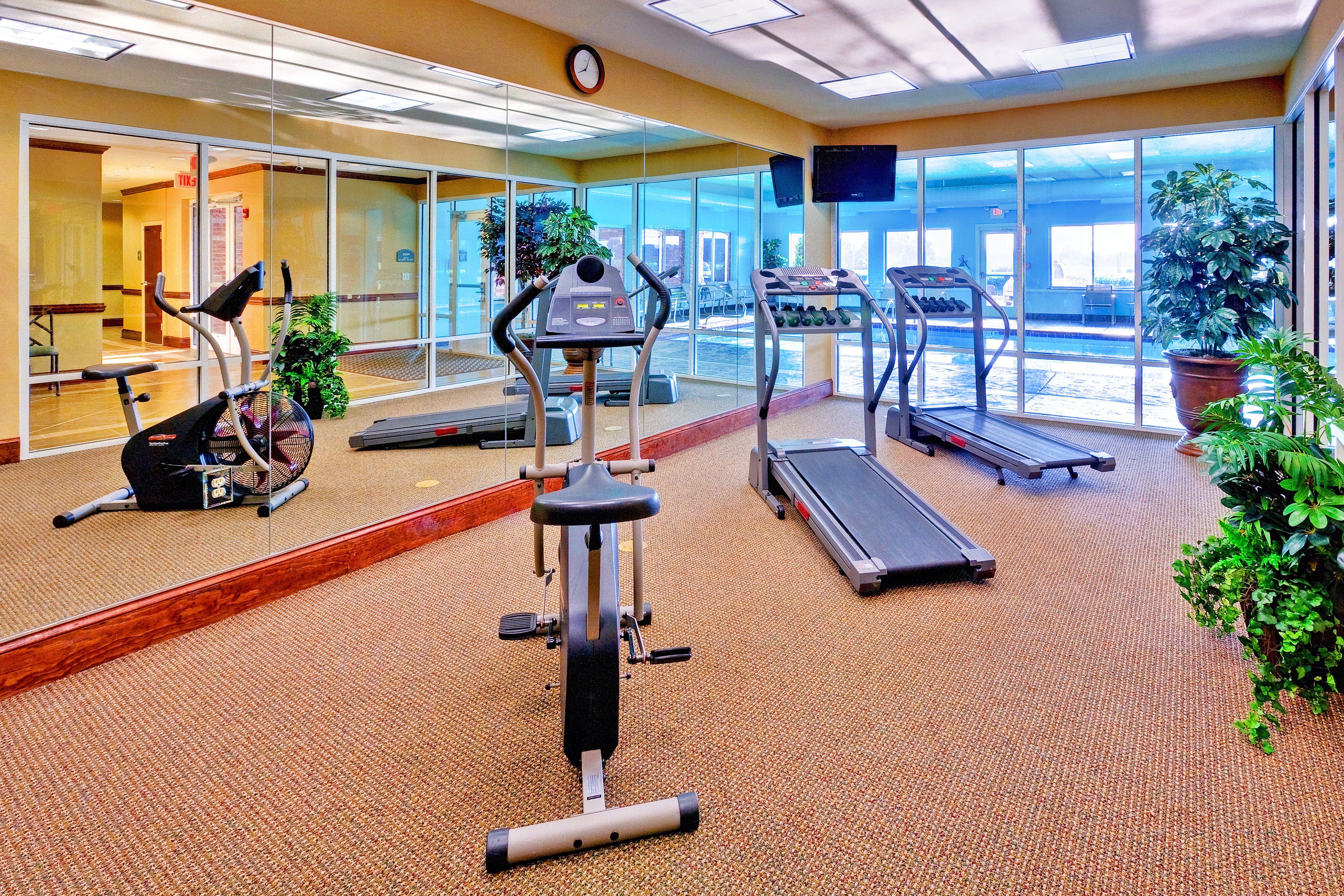 Holiday Inn Express Hotel & Suites Millington-Memphis Area 22/31