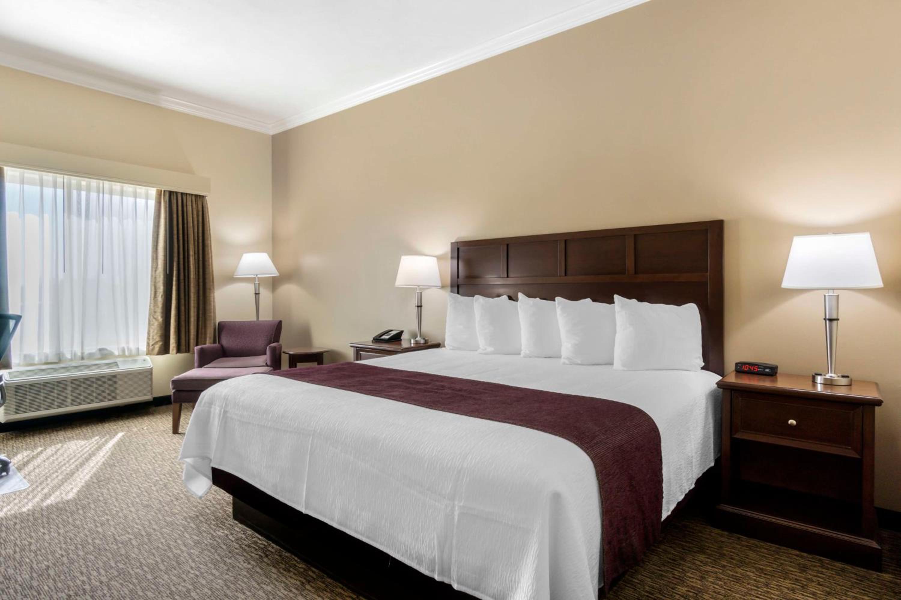 Mini, Suite, King Bed, Sofa