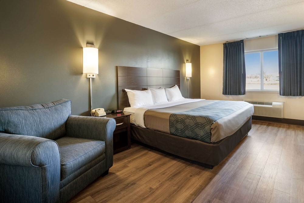 غرفة قياسية بسرير كينج يُسمح فيها بالحيوانات الأليفة في الطابق الأرضي، Econo Lodge Darien Lakes 4/6