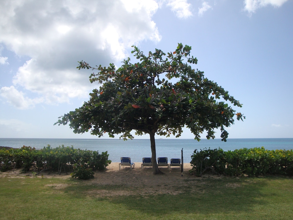 Hawksbill Resort Antigua - Adults Only 7/61