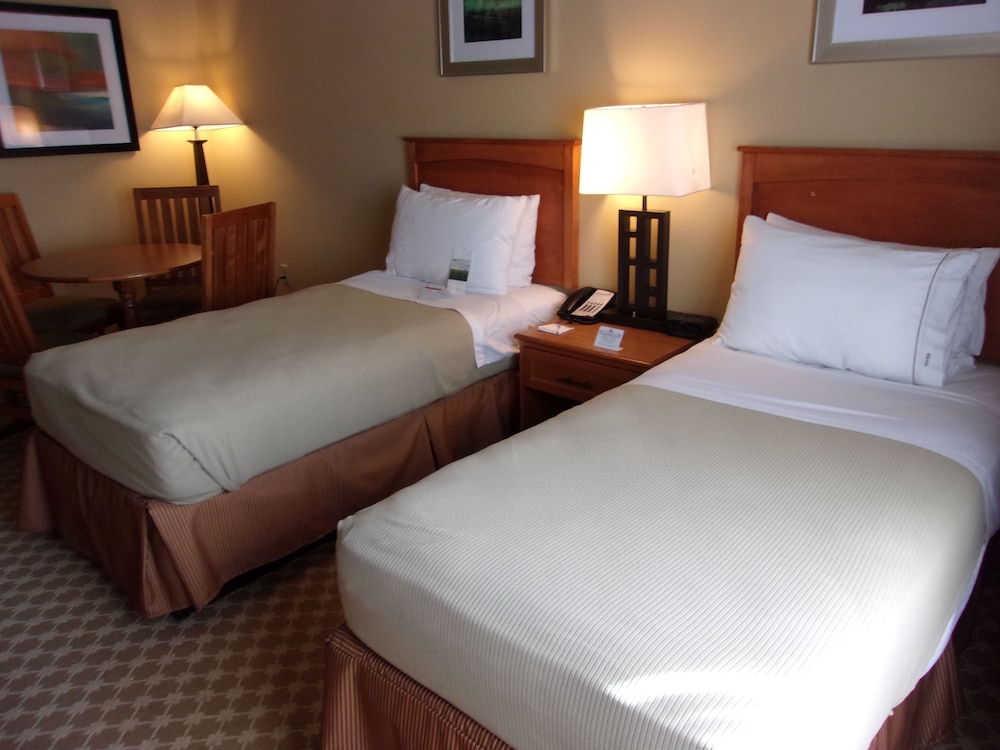 Holiday Inn Express Suites Chicago West Roselle 14/50