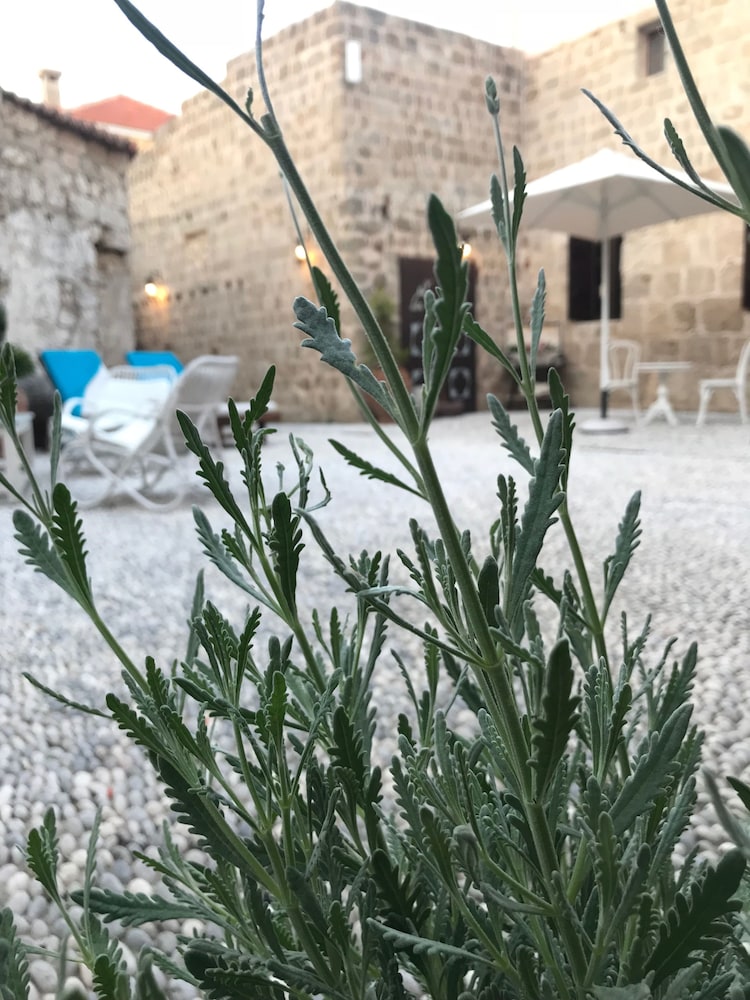 Saint Artemios Boutique 36/47