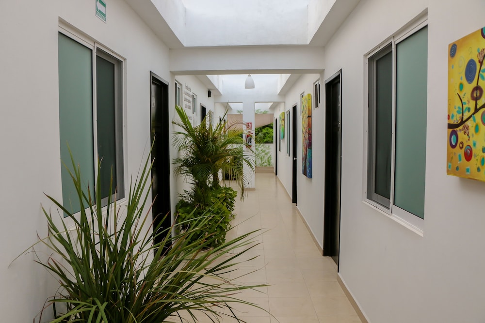 Gayser Apartamentos 5/39
