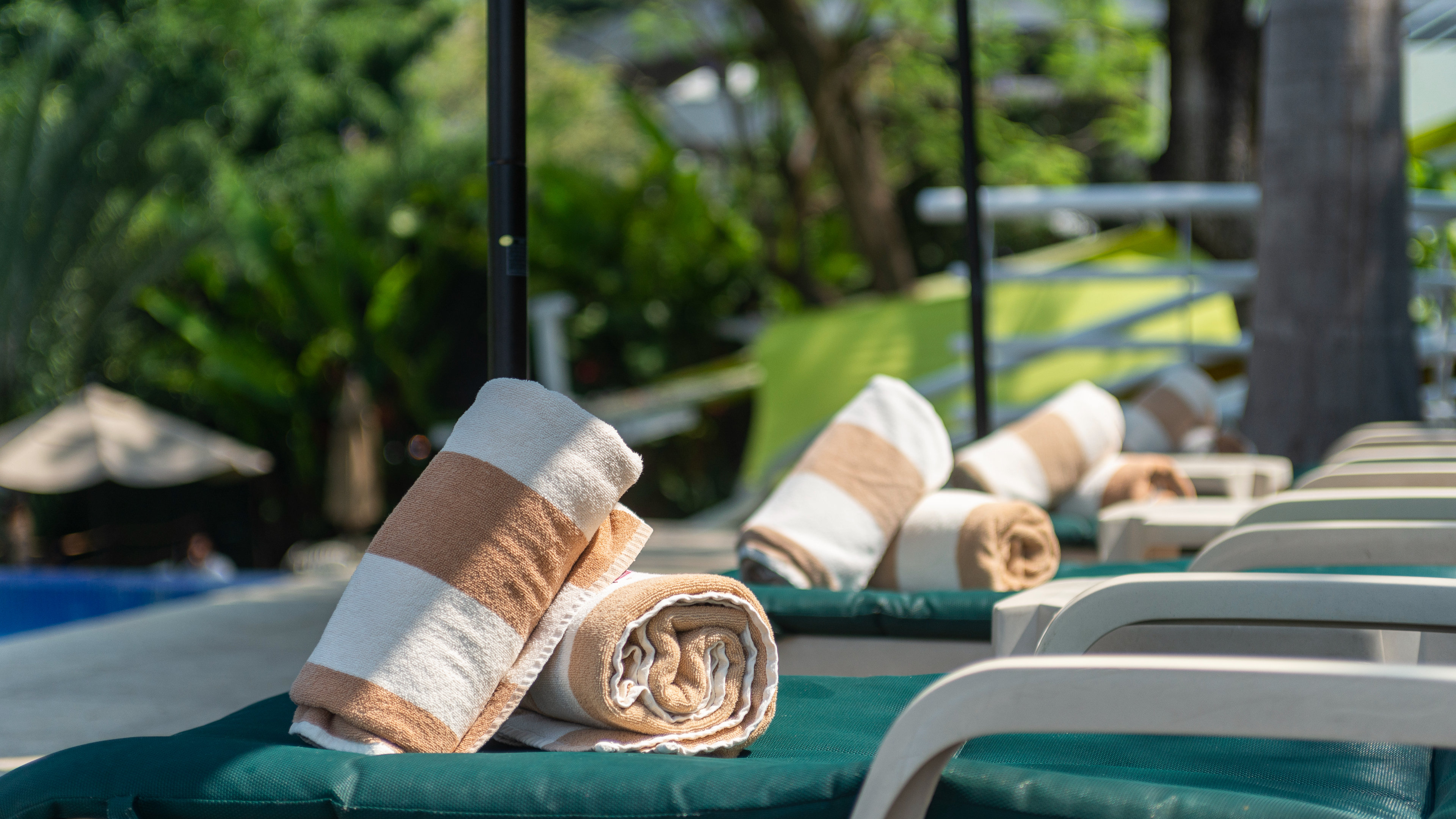 Holiday Inn Express & Suites Cuernavaca 28/50
