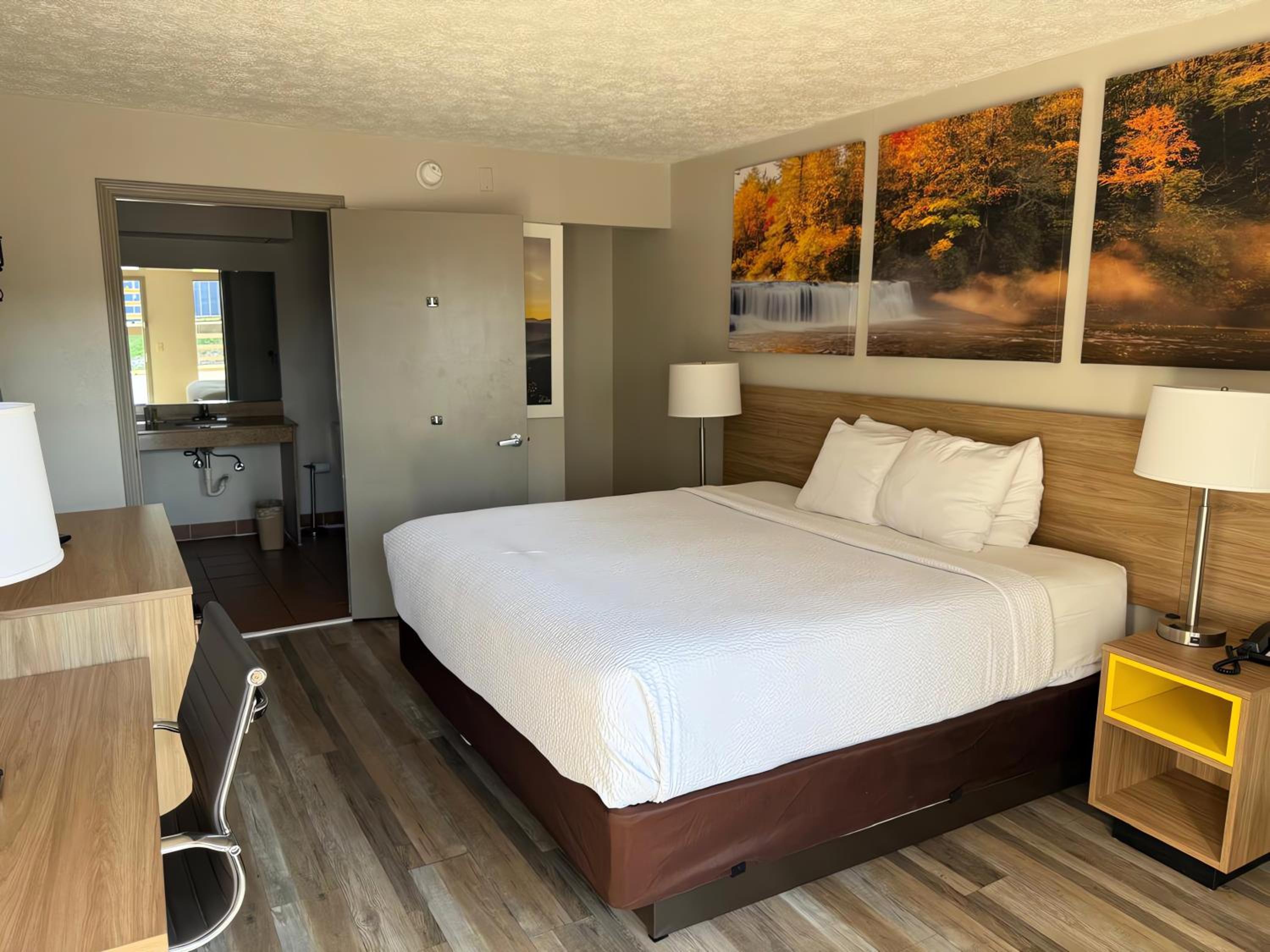 Room, King Bed, Smoking, Accessible