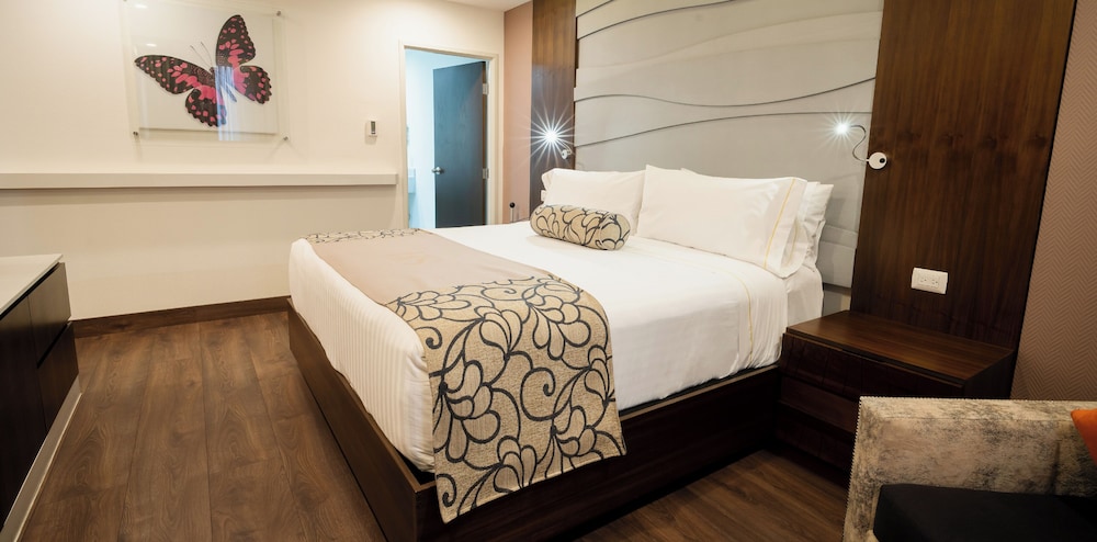 Hs Hotsson Hotel Queretaro 27/56