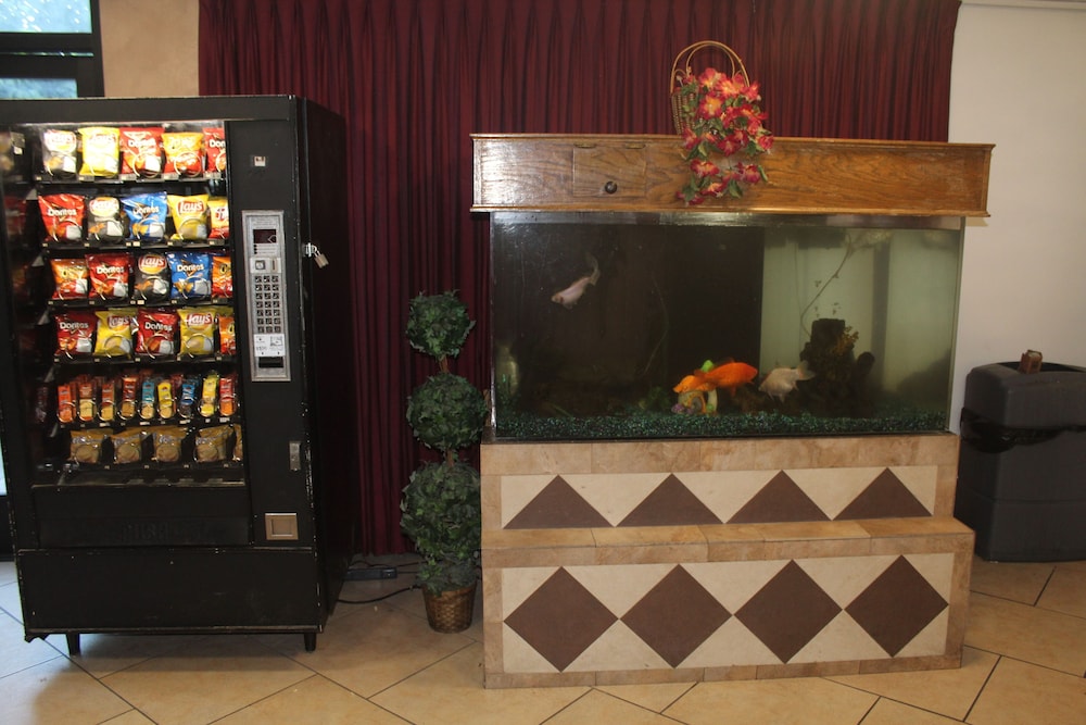 Shalimar Hotel of Las Vegas 12/67