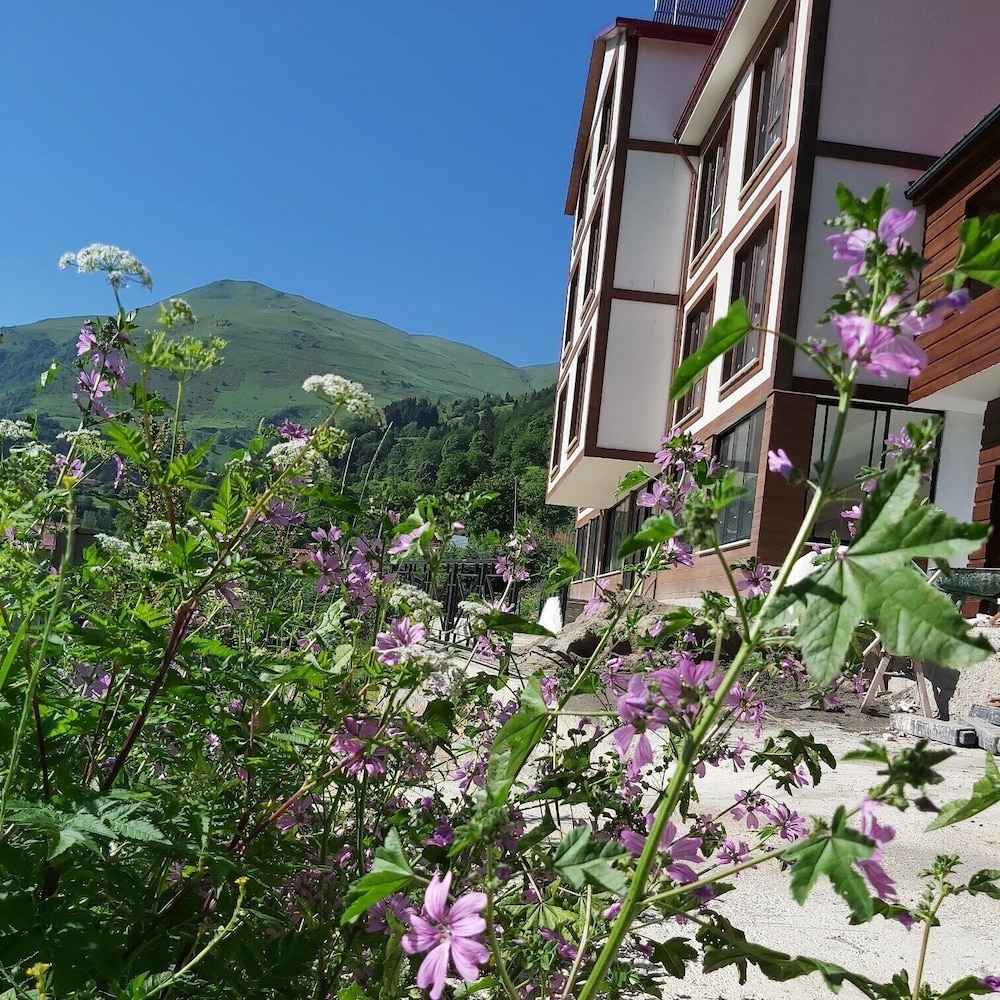 Alya Teras Otel 3/46