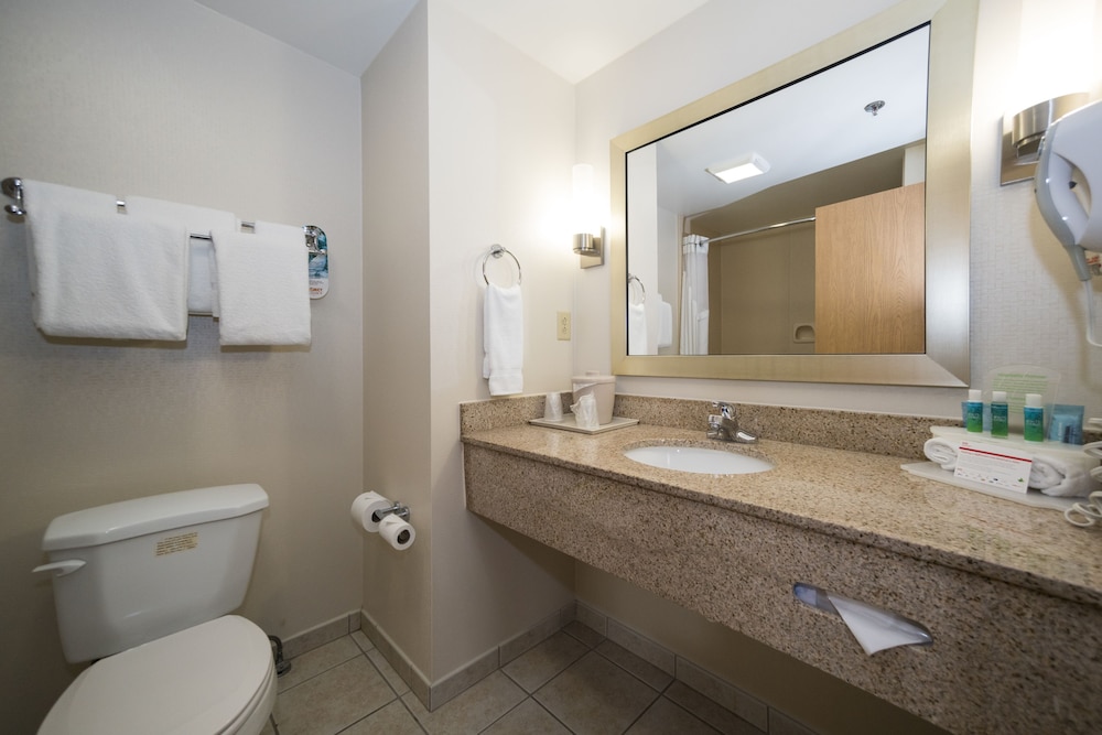 Holiday Inn Express Hotel & Suites Vicksburg 25/74