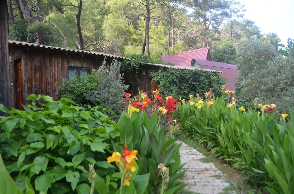 Olympos Mercan Pansiyon 28/50