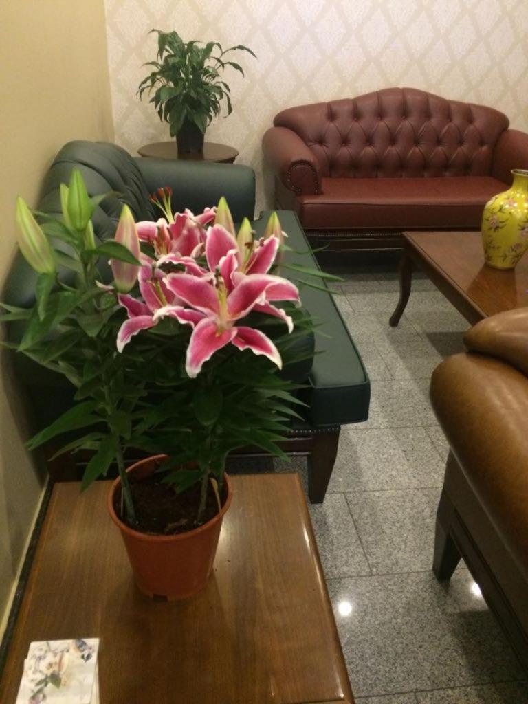 Unver Hotel Adana 21/25